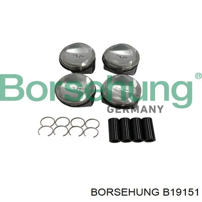 B19151 Borsehung 