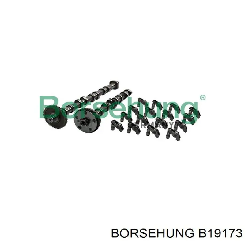Comprar B19173 Borsehung Juego de árbol de levas