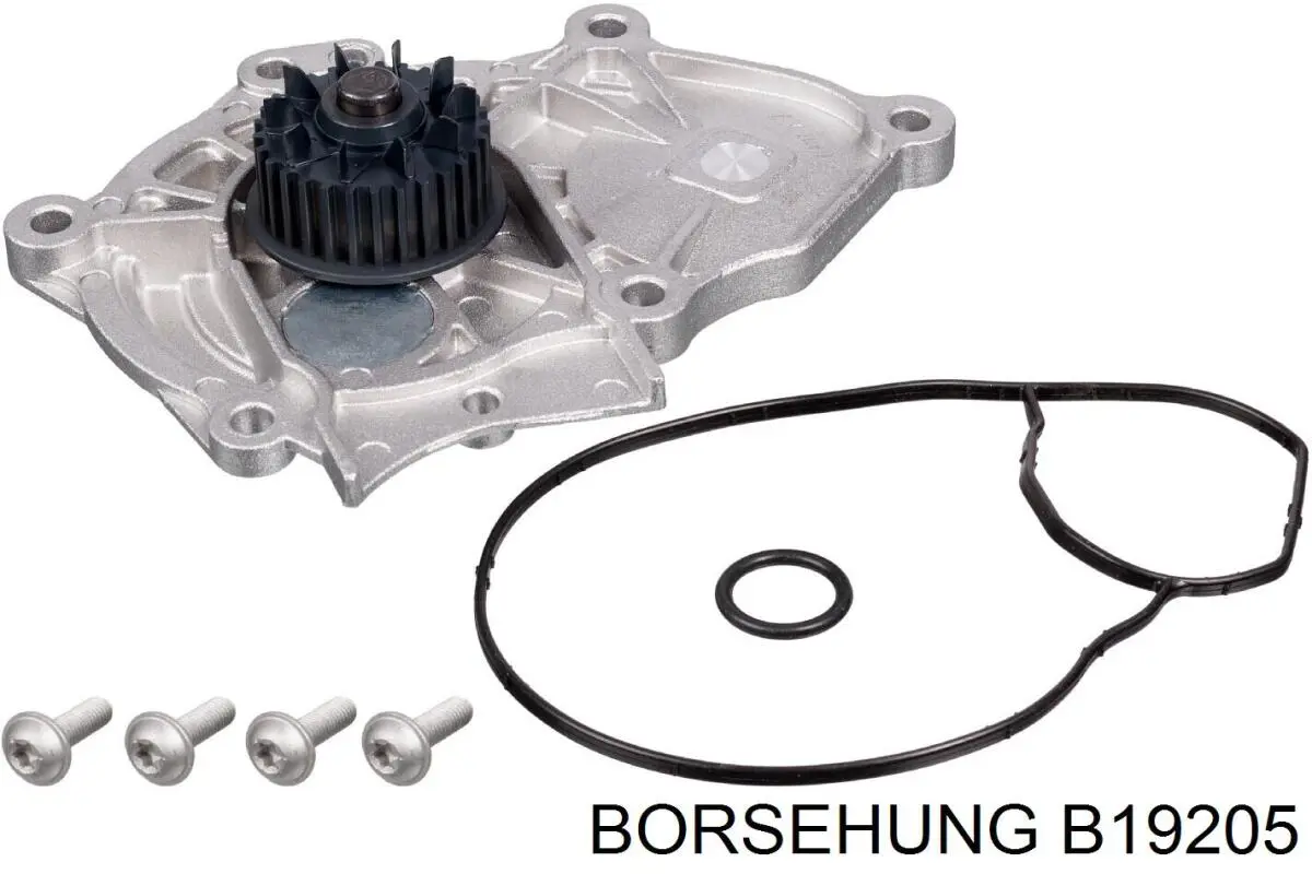 Bomba de agua de refrigeración con carcasa Borsehung B19205 precio, desde 283,75 EUR