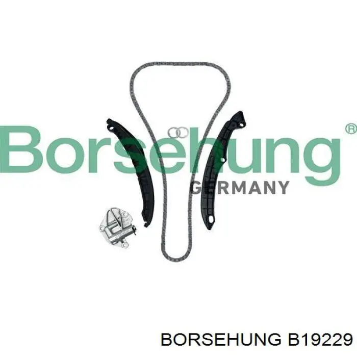 B19229 Borsehung Juego de cadena de distribución