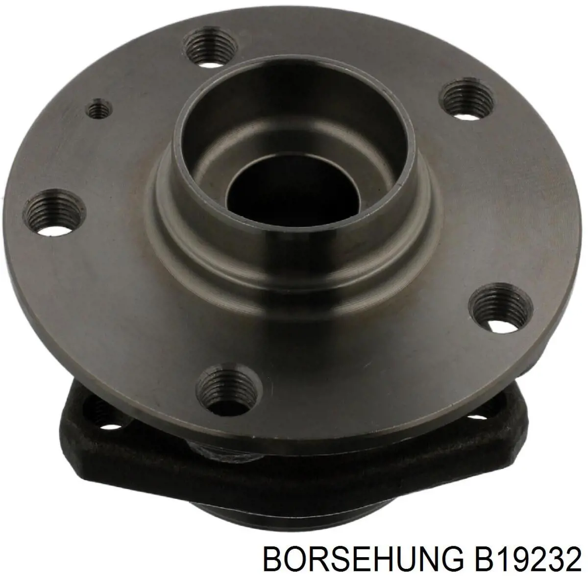 B19232 Borsehung