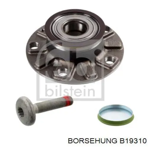 B19310 Borsehung cubo de rueda trasero