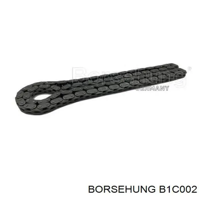 B1C002 Borsehung cadena de distribución