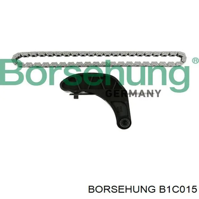 B1C015 Borsehung cadena, bomba de aceite