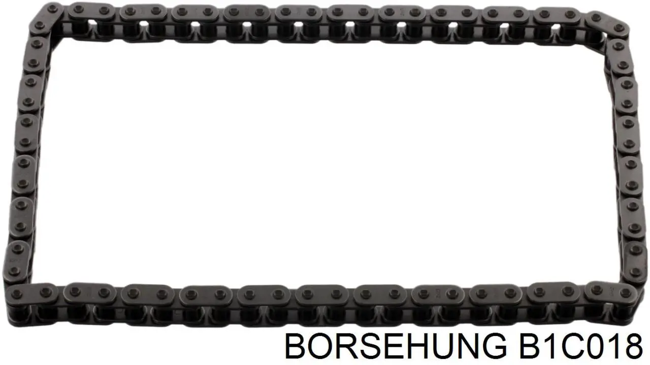 B1C018 Borsehung cadena, bomba de aceite