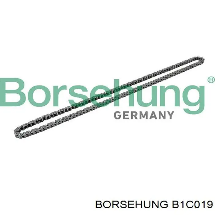 Cadena de distribución Borsehung B1C019 precio, desde 55,13 EUR