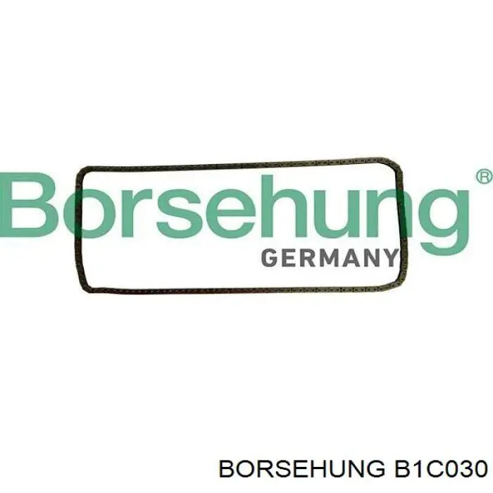 Cadena de distribución B1C030 Borsehung