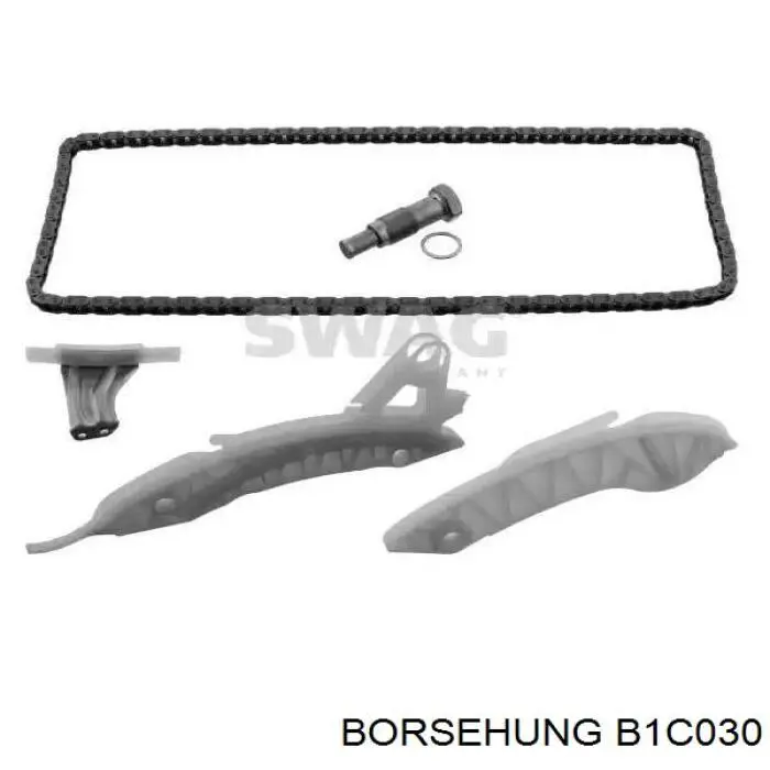Cadena de distribución Borsehung B1C030 precio, desde 33,63 EUR