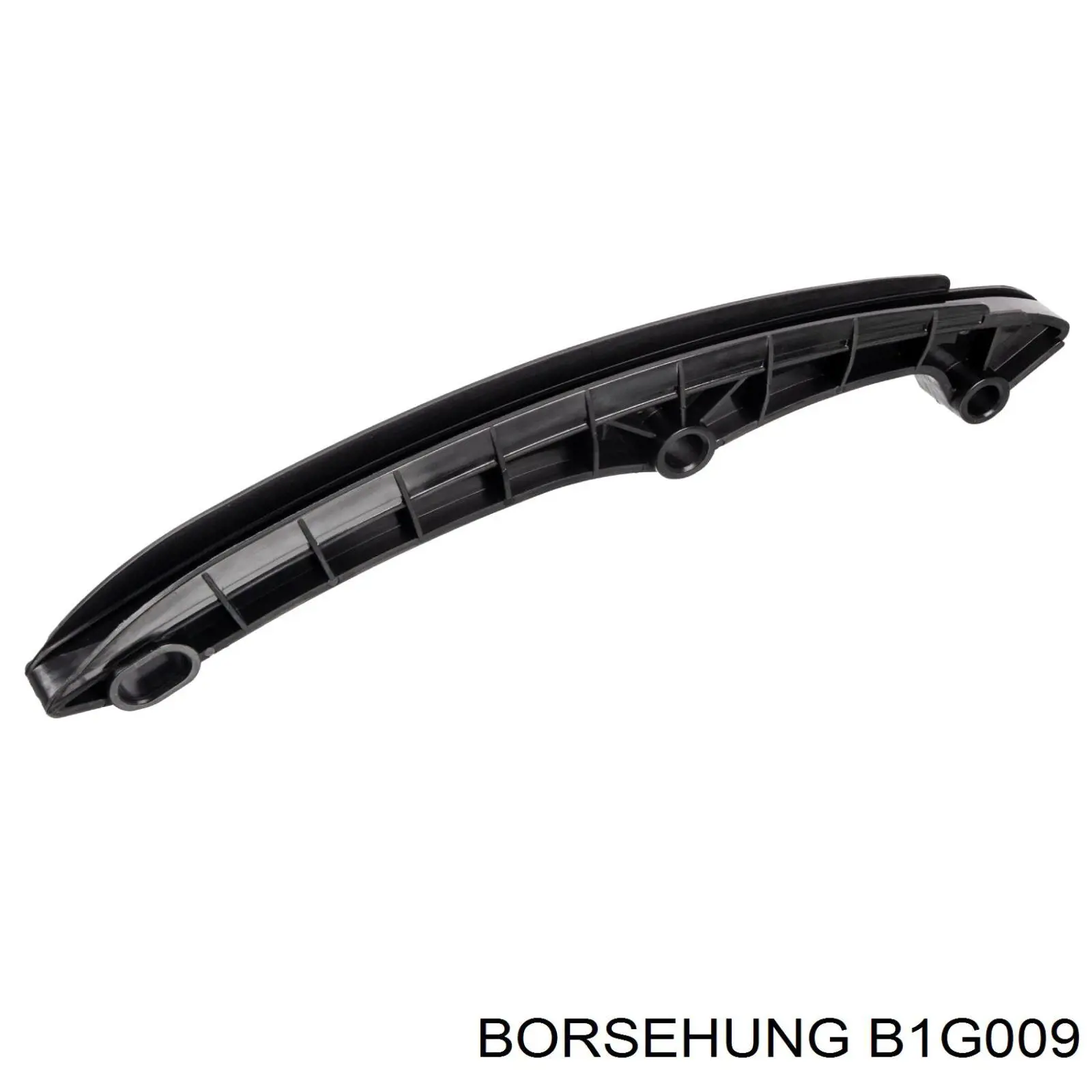 B1G009 Borsehung carril de deslizamiento, cadena de distribución
