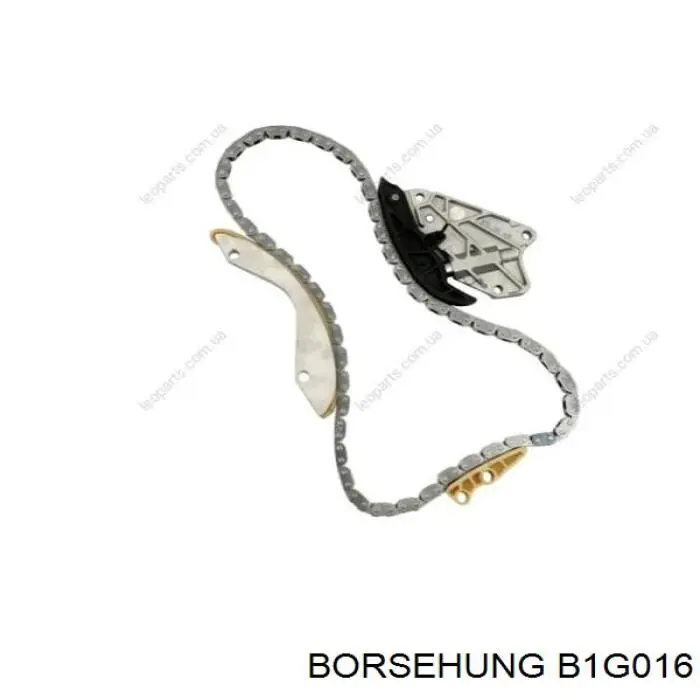 B1G016 Borsehung