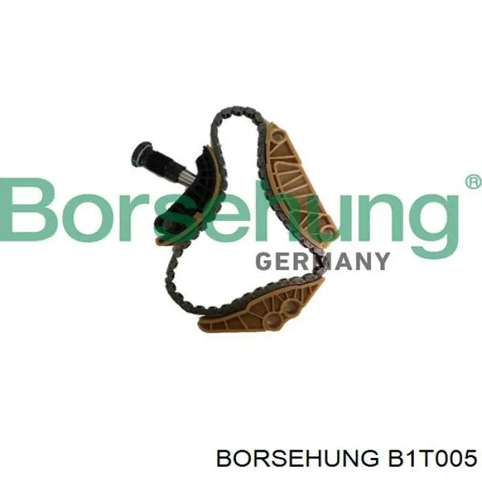 B1T005 Borsehung tensor, cadena de distribución