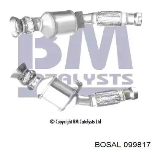 099817 Bosal Catalizador de gasolina y diésel