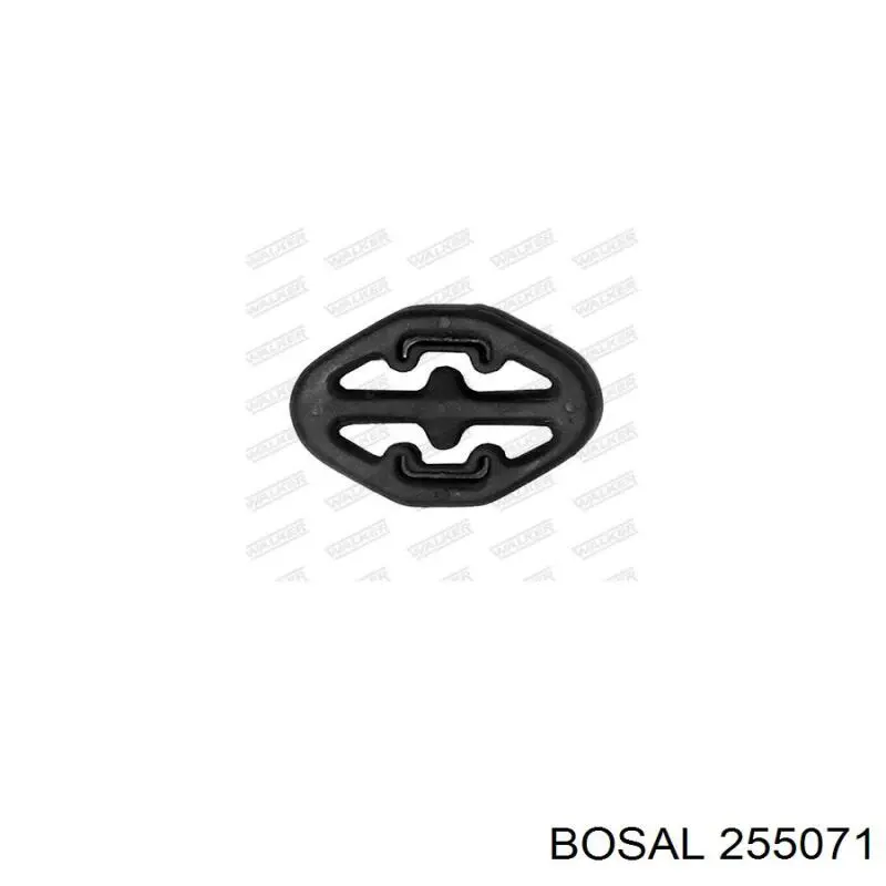 255071 Bosal