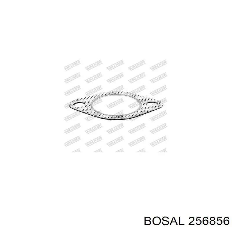 256856 Bosal