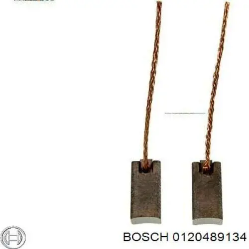 0120489134 Bosch alternador