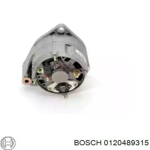 0120489315 Bosch alternador