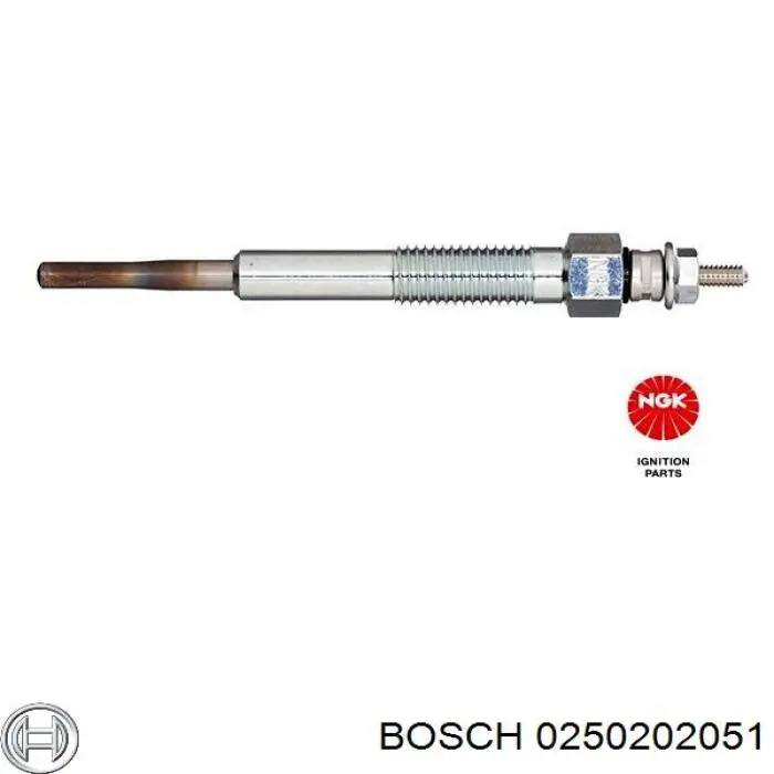 0250202051 Bosch bujía de precalentamiento