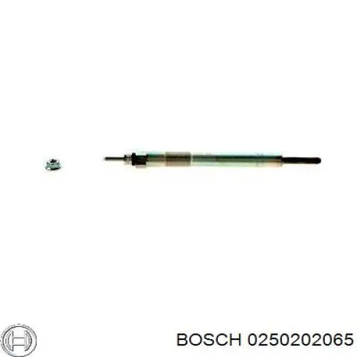 0250202065 Bosch bujía de incandescencia