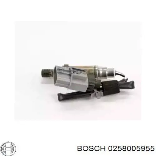 Comprar 0258005955 Bosch Sensor de oxígeno previo al catalizador