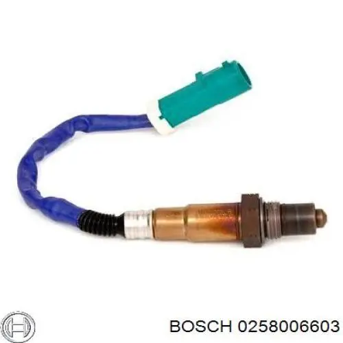 0258006603 Bosch sonda lambda, sensor de oxígeno antes del catalizador izquierdo