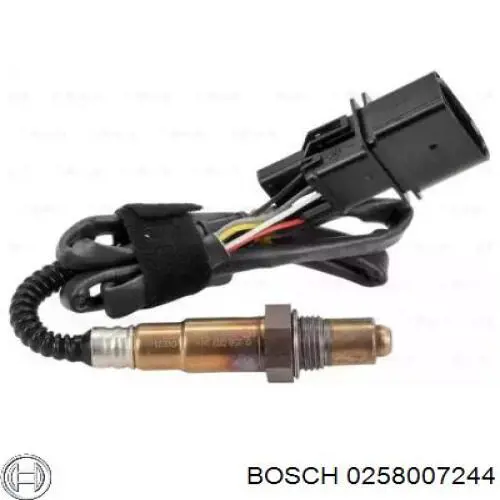 0258007244 Bosch