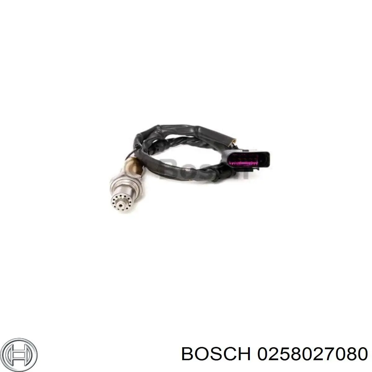 0258027080 Bosch