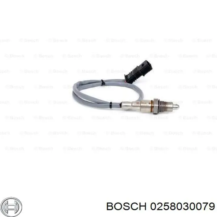 0258030079 Bosch