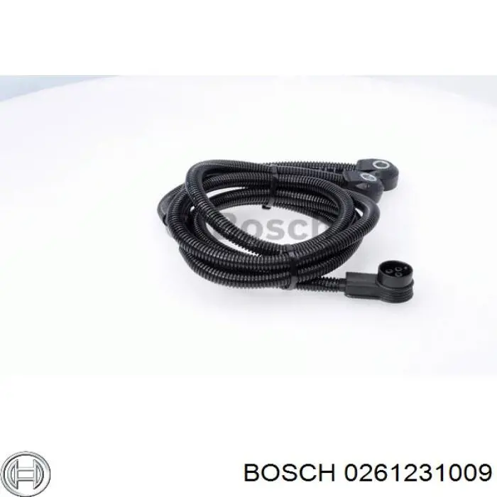 0261231009 Bosch