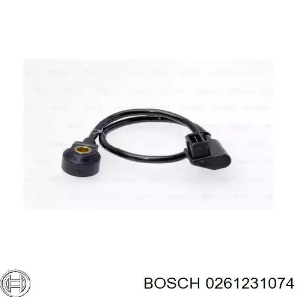 0261231074 Bosch sensor de detonacion