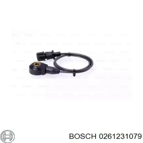 0261231079 Bosch sensor de detonacion