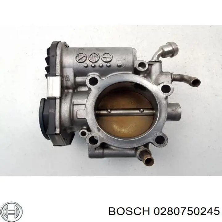 Cuerpo de aceleración completo Bosch 0280750245 precio, desde 103,09 EUR