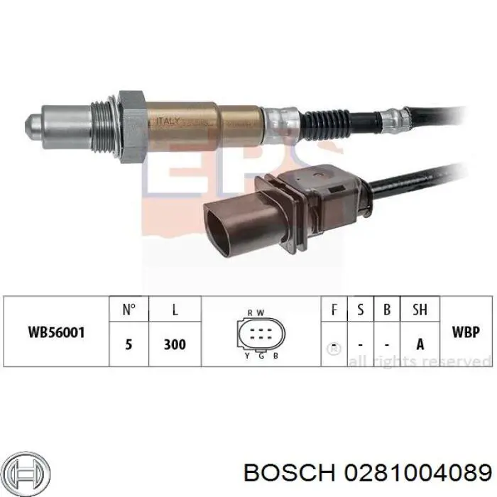 0281004089 Bosch sonda lambda, sensor de oxígeno