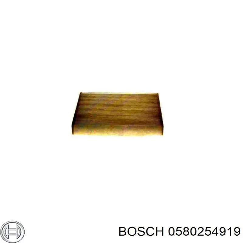 0580254919 Bosch bomba de combustible principal