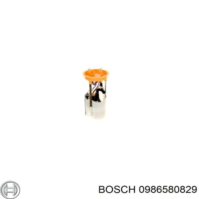 Bomba de gasolina FG242912B1 Delphi