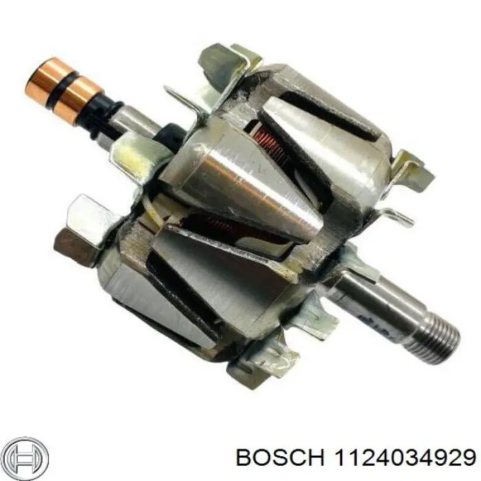 1124034929 Bosch rotor, alternador