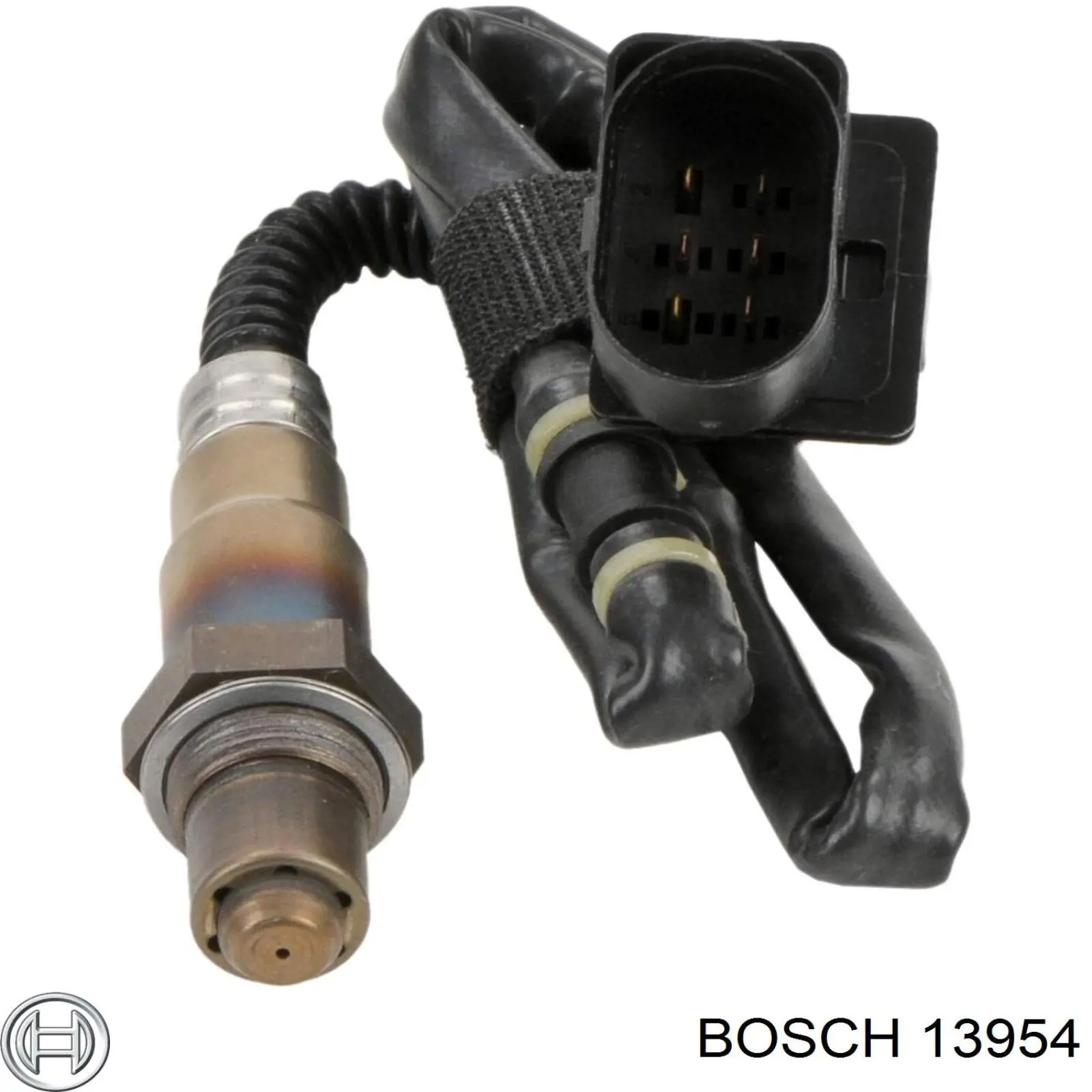 13954 Bosch