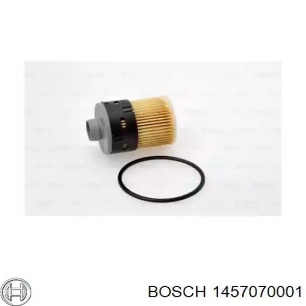 Filtro combustible Fiat Ducato 3 250