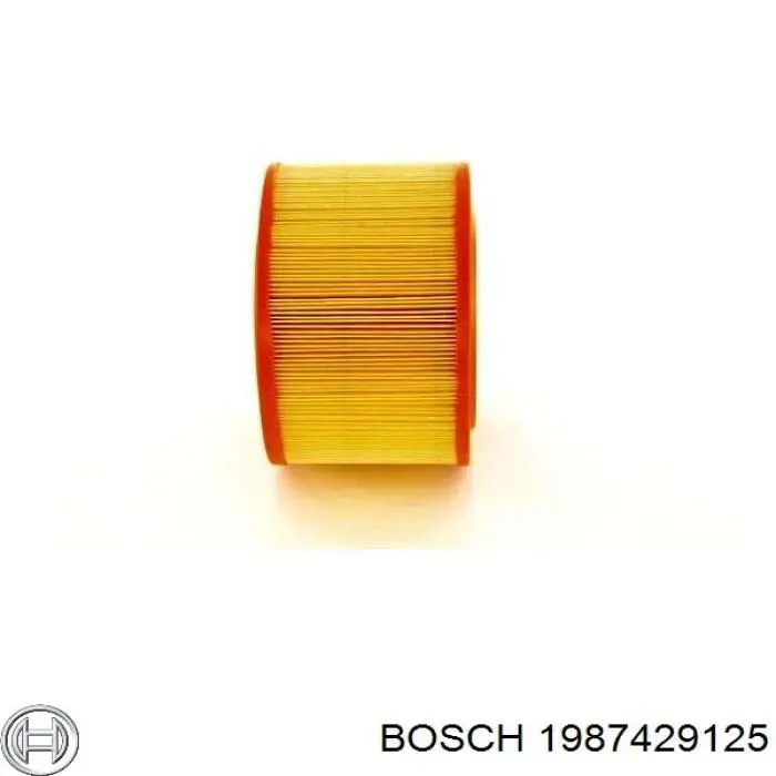 1987429125 Bosch filtro de aire