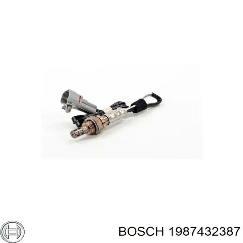 1987432387 Bosch Filtro antipolen