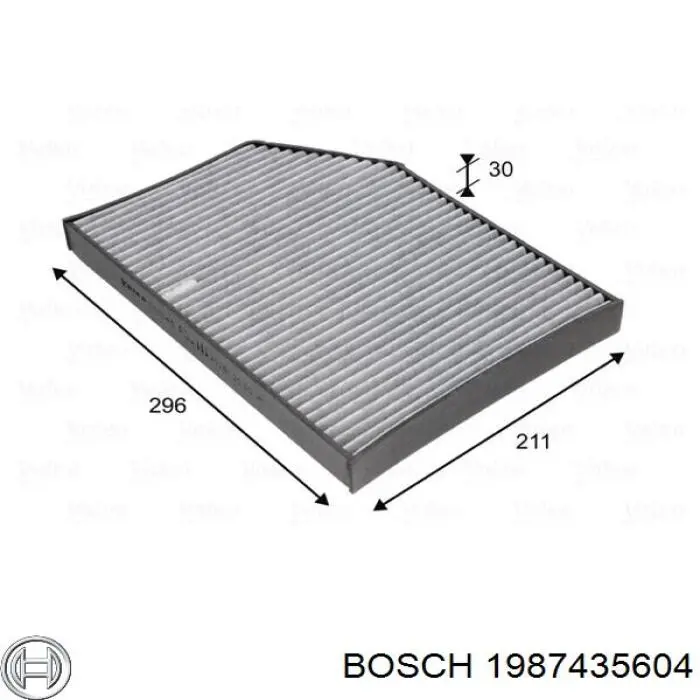 1987435604 Bosch Filtro antipolen
