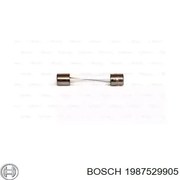 1 987 529 905 Bosch fusible