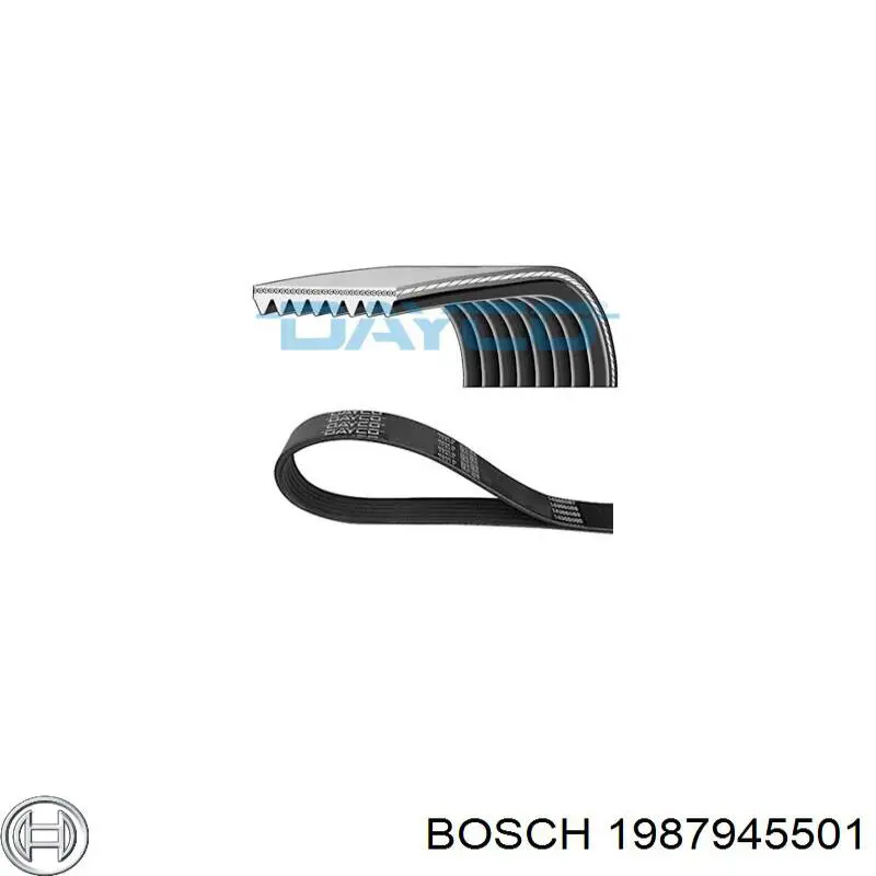 Correa de transmisión trapezoidal Continental/Siemens 8PK1440 precio, desde 15,05 EUR