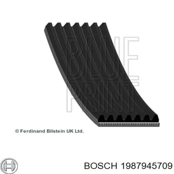 Correa de alternador 117201HC1A Nissan/Infiniti