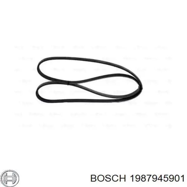 1987945901 Bosch correa trapezoidal