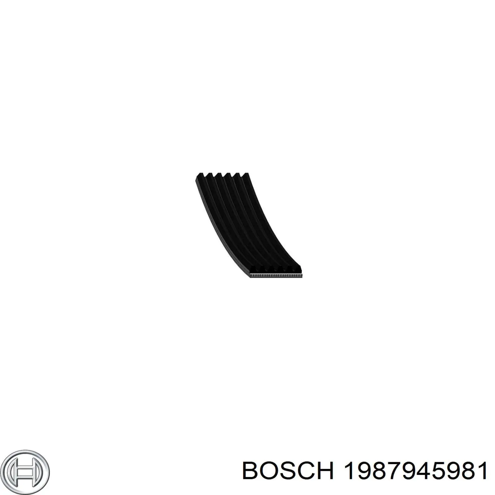 1987945981 Bosch correa trapezoidal