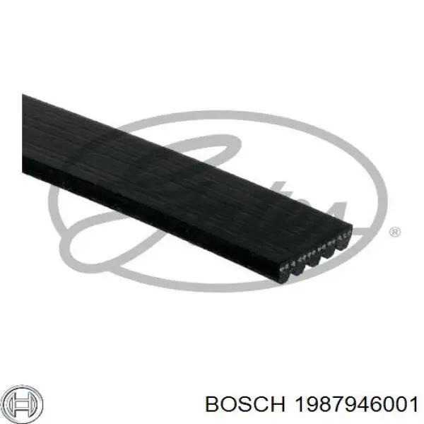 1987946001 Bosch correa trapezoidal