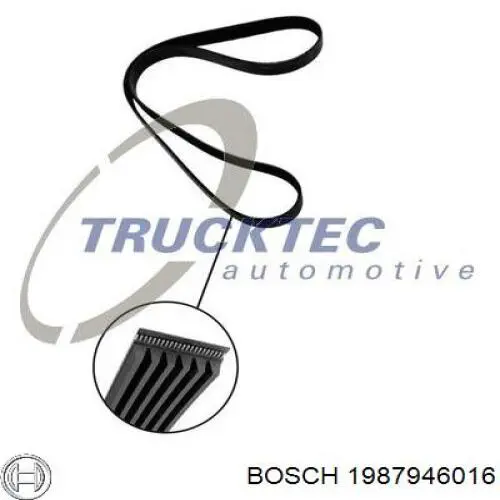 Correa de alternador 1987946016 Bosch