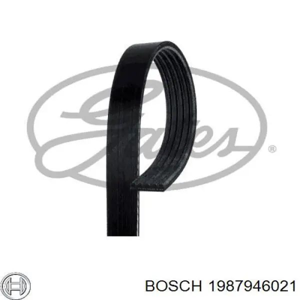 1987946021 Bosch correa trapezoidal