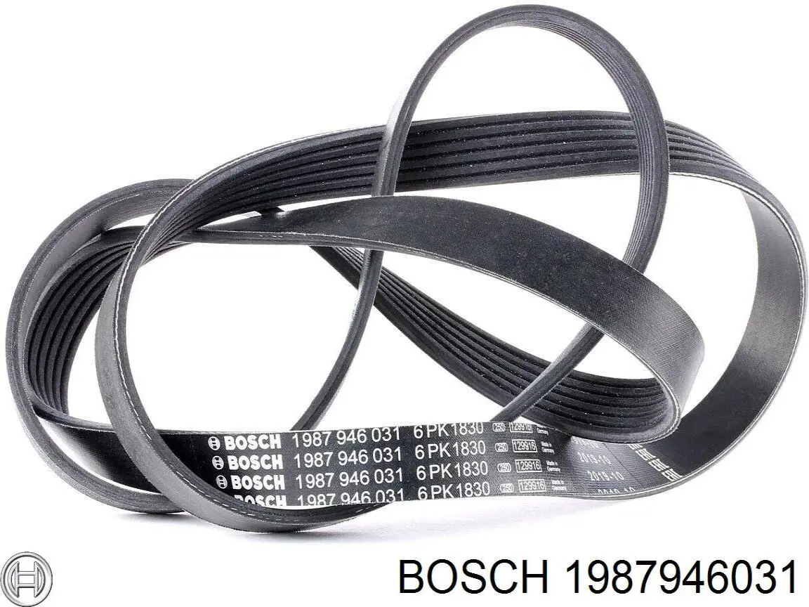 1987946031 Bosch correa trapezoidal