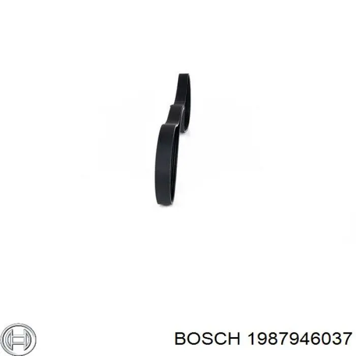 1987946037 Bosch correa trapezoidal